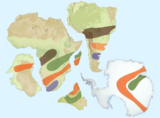 Continental drift (fossil tracks)