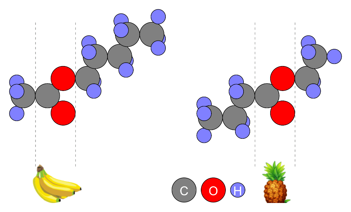 The Structure of Ester