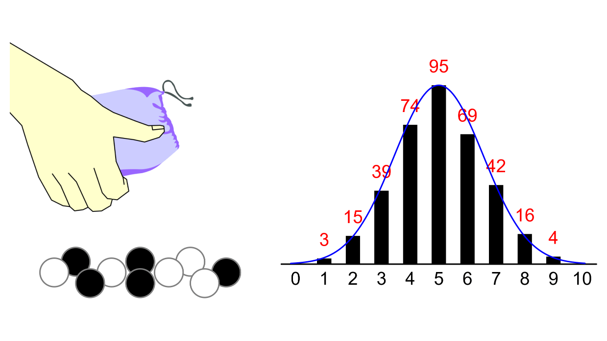 Normal Distribution