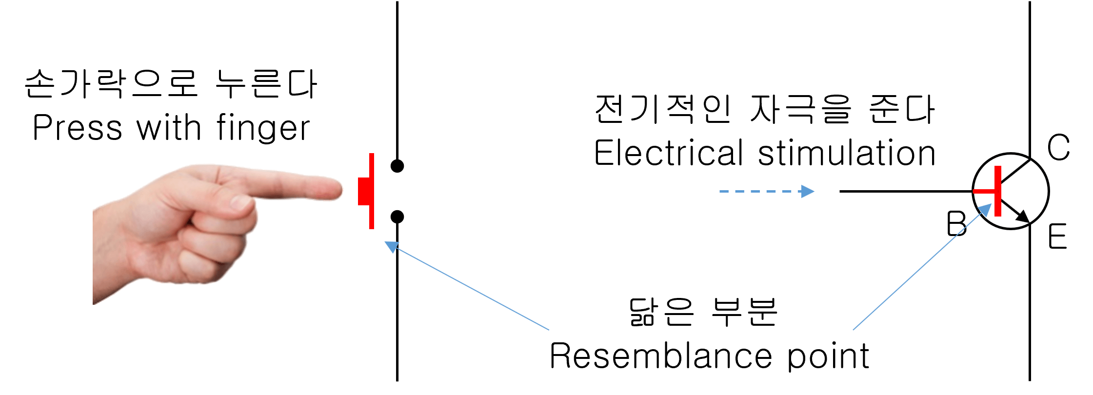 Principle of transistor