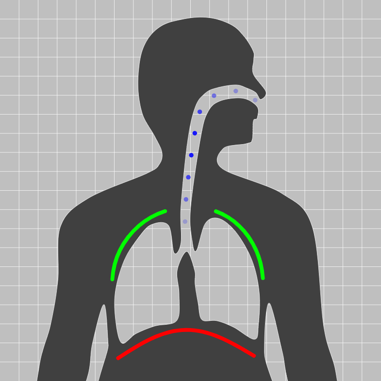 Respiration
